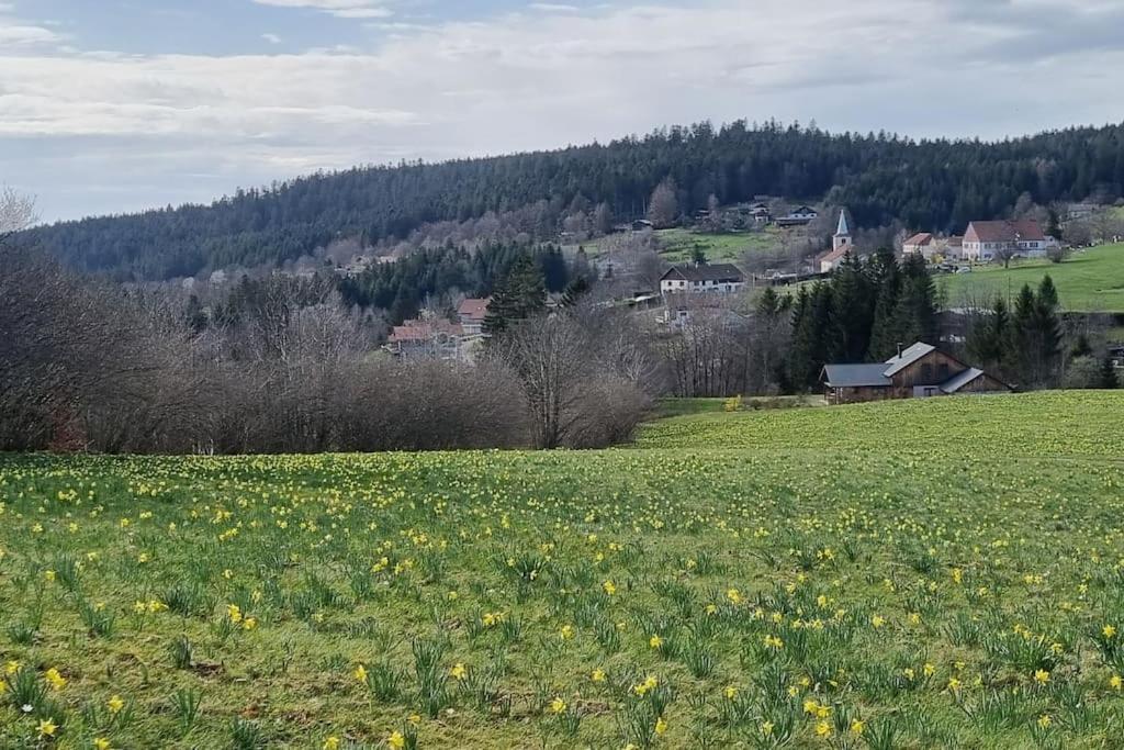 Le Grenier De Jules Et Marguerite Liézey Exterior foto